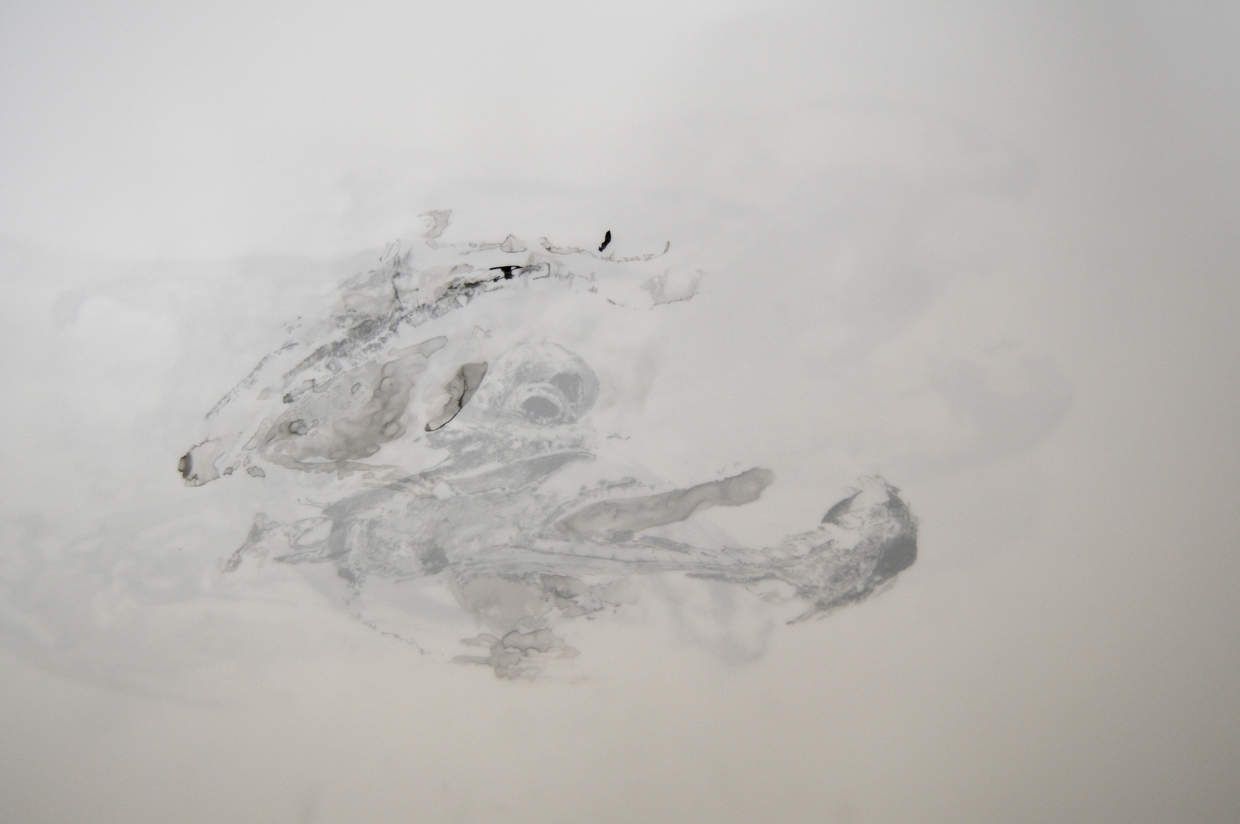 A Description: elegy